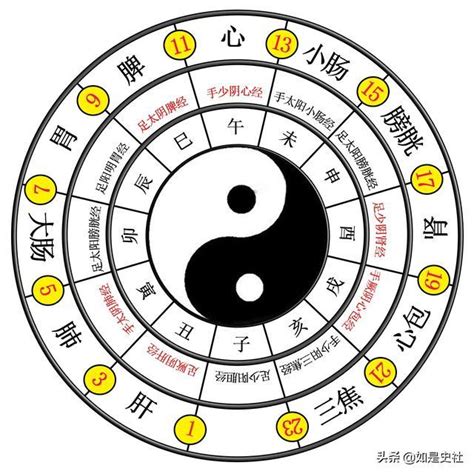 八卦兩儀|太極